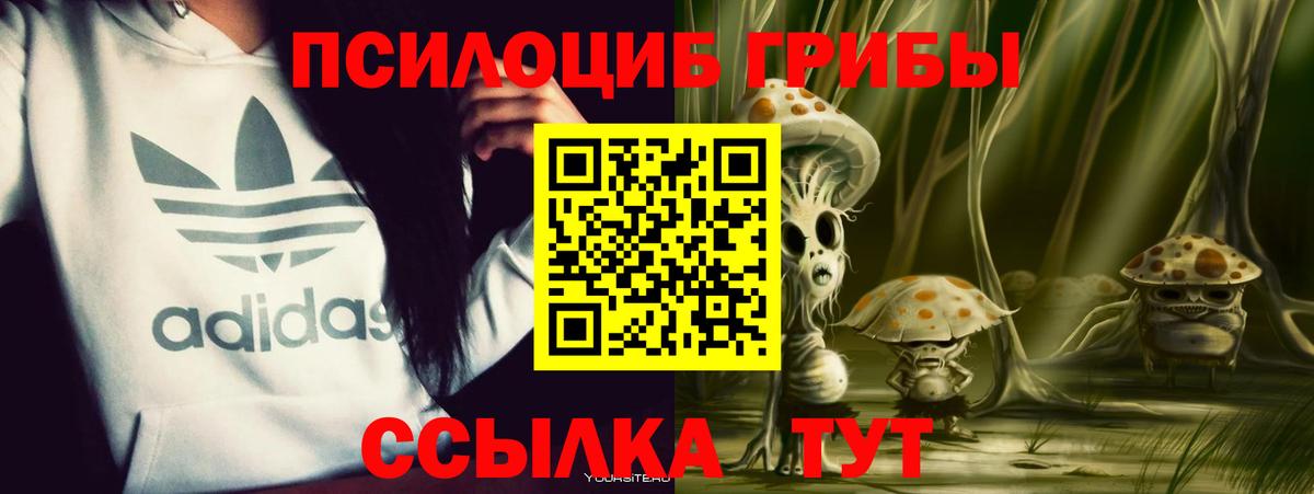 Скопин  магазин продажи наркотиков  Галлюциногенные грибы мицелий  Вход с VPN  Псилоцибиновые грибы ЛСД 